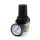Eco-Line pressure regulator with pressure gau